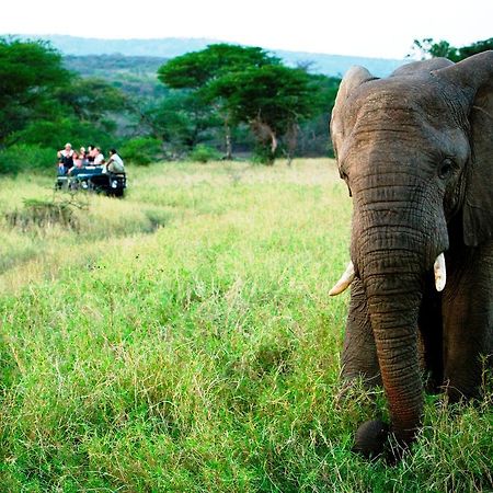 Thula Thula Exclusive Private Game Reserve & Lodge Ntambanana 外观 照片