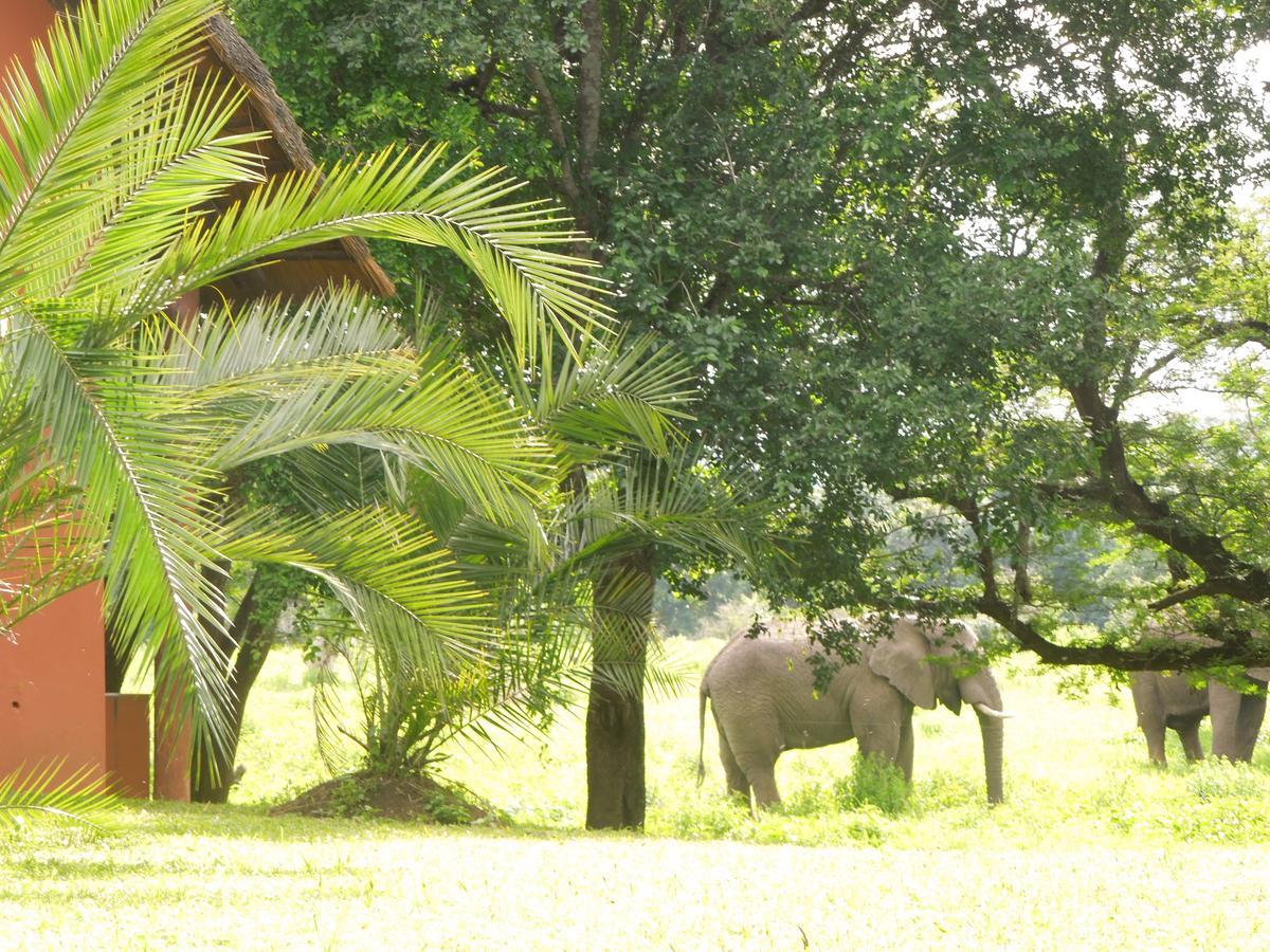 Thula Thula Exclusive Private Game Reserve & Lodge Ntambanana 外观 照片