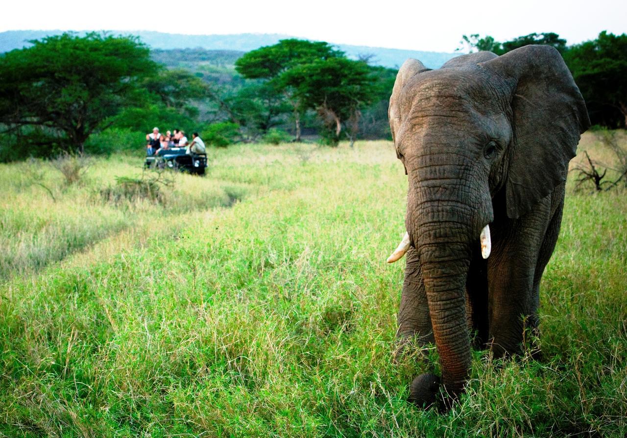 Thula Thula Exclusive Private Game Reserve & Lodge Ntambanana 外观 照片