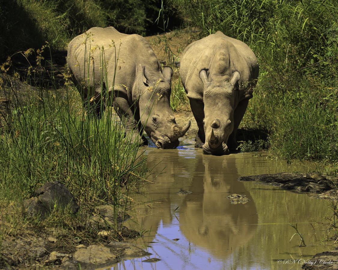 Thula Thula Exclusive Private Game Reserve & Lodge Ntambanana 外观 照片