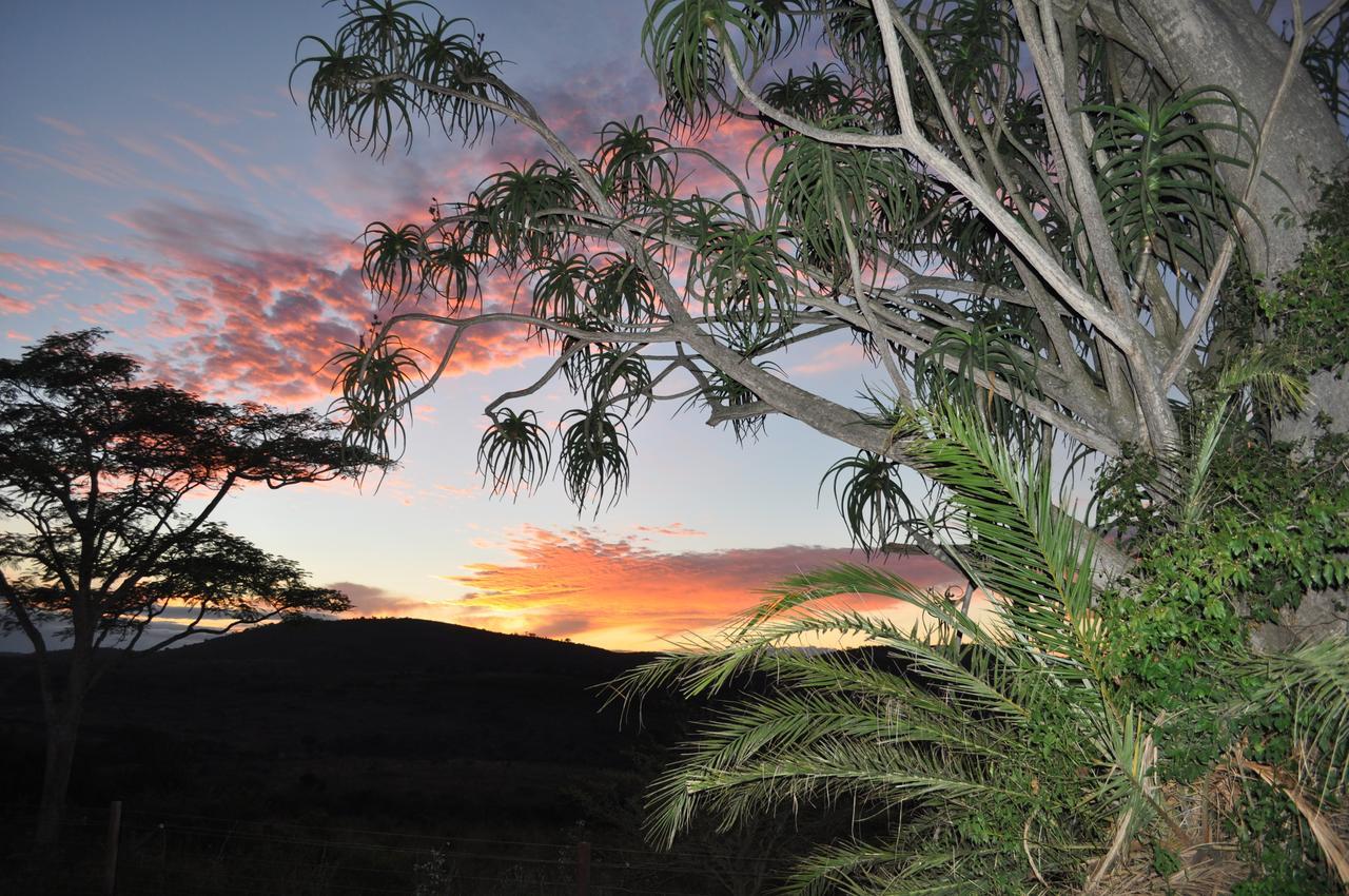 Thula Thula Exclusive Private Game Reserve & Lodge Ntambanana 外观 照片