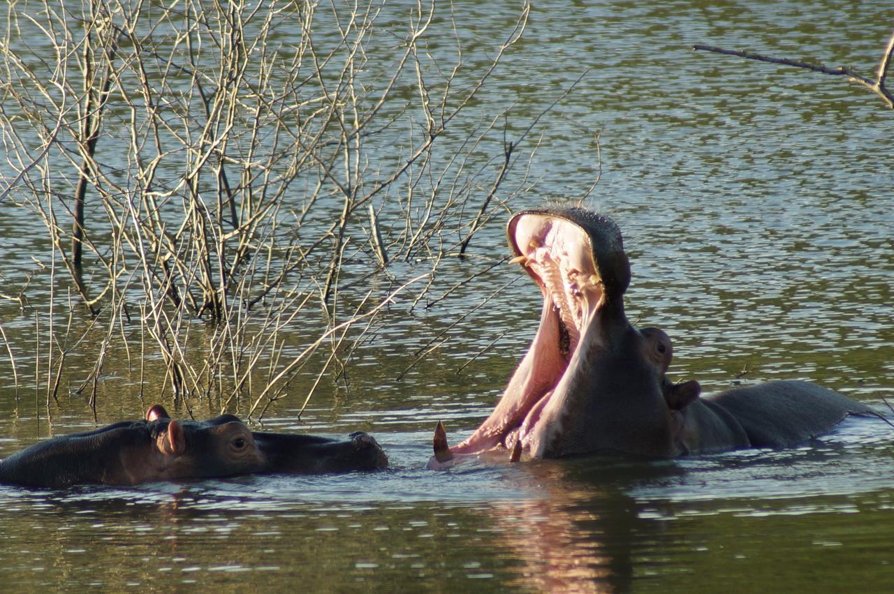 Thula Thula Exclusive Private Game Reserve & Lodge Ntambanana 外观 照片