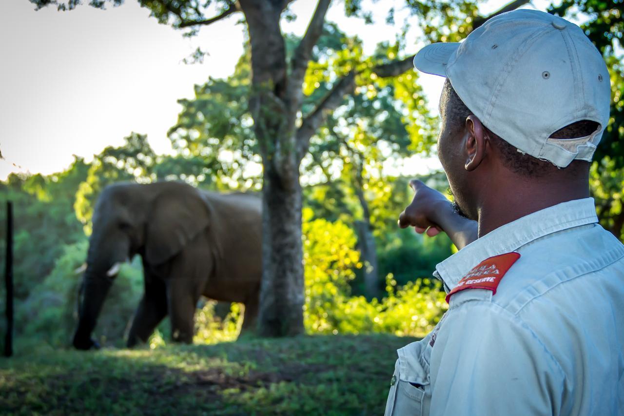 Thula Thula Exclusive Private Game Reserve & Lodge Ntambanana 外观 照片