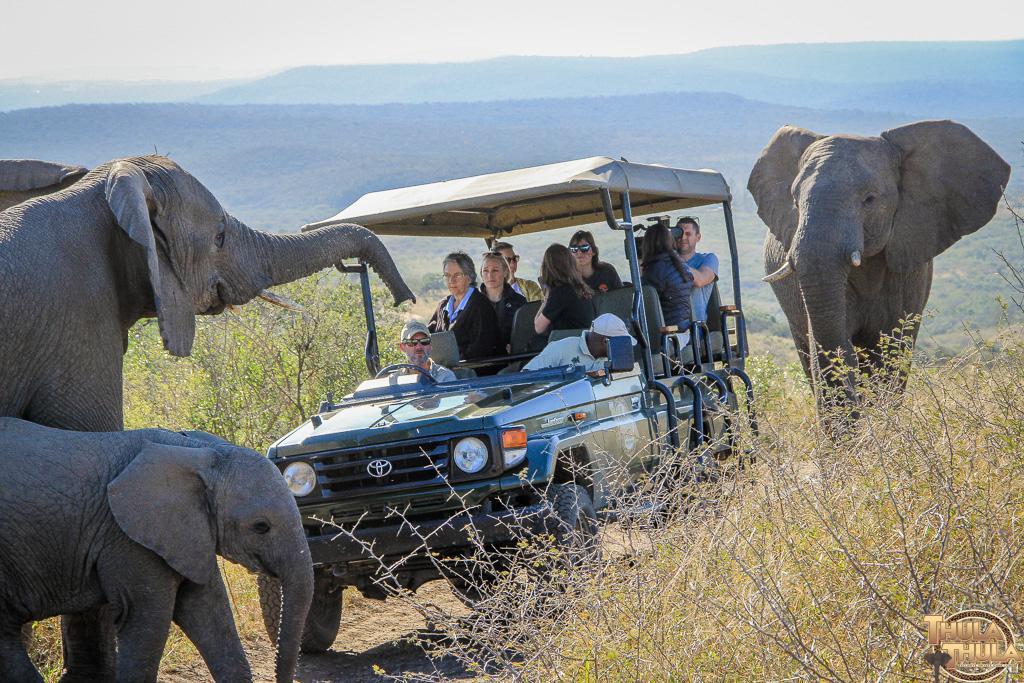 Thula Thula Exclusive Private Game Reserve & Lodge Ntambanana 外观 照片
