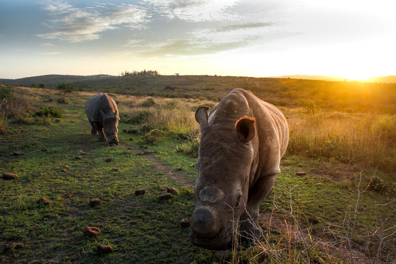 Thula Thula Exclusive Private Game Reserve & Lodge Ntambanana 外观 照片