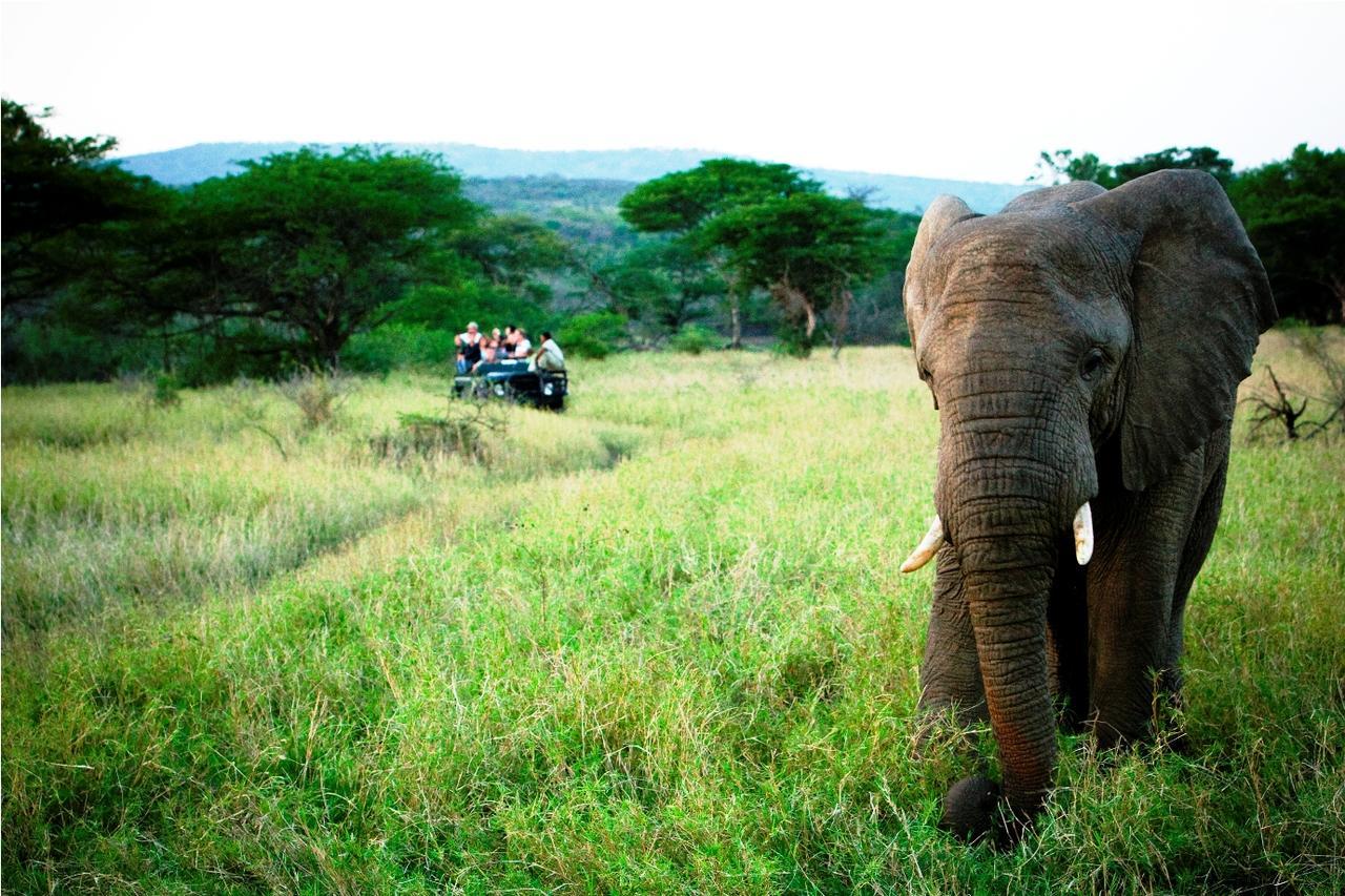 Thula Thula Exclusive Private Game Reserve & Lodge Ntambanana 外观 照片