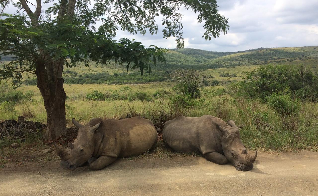 Thula Thula Exclusive Private Game Reserve & Lodge Ntambanana 外观 照片